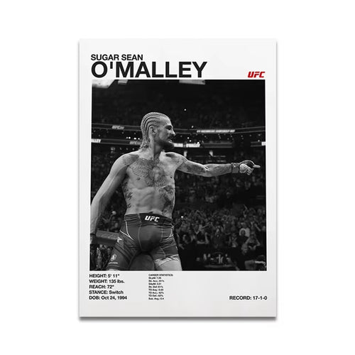 Unleash Your Inner Champion with Our MMA Boxing Star Canvas Art - Perfect Gift for Fight Lovers! 🥊🎨 #HomeDecor #BoxingArt